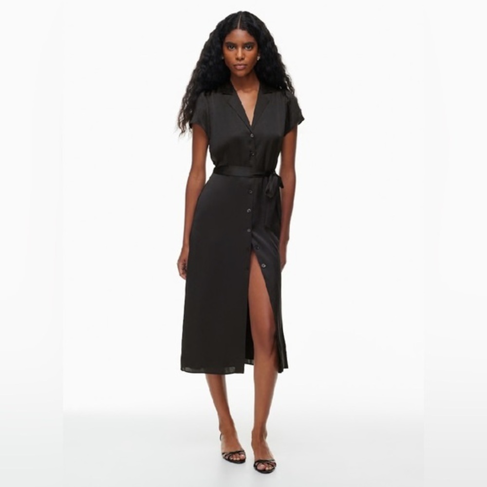 NEW Aritzia Wilfred Shirt Satin Button-up Shirt Dress